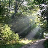Area