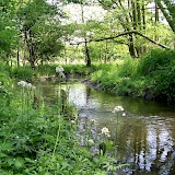 Area