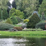 Area