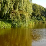 Siedlisko Orlik