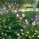 Park