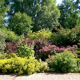 Romantic garden