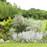 Romantic garden