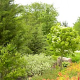 Romantic garden