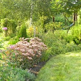 Romantic garden