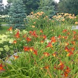 Romantic garden