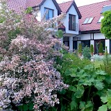 Romantic garden