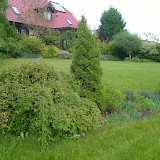 Romantic garden