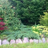 Romantic garden