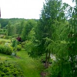 Romantic garden