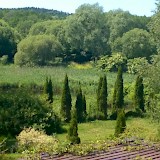 Romantic garden