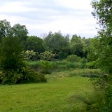 Romantic garden