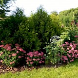 Romantic garden