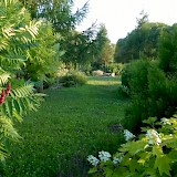 Romantic garden
