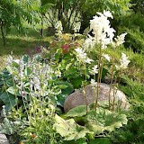 Romantic garden